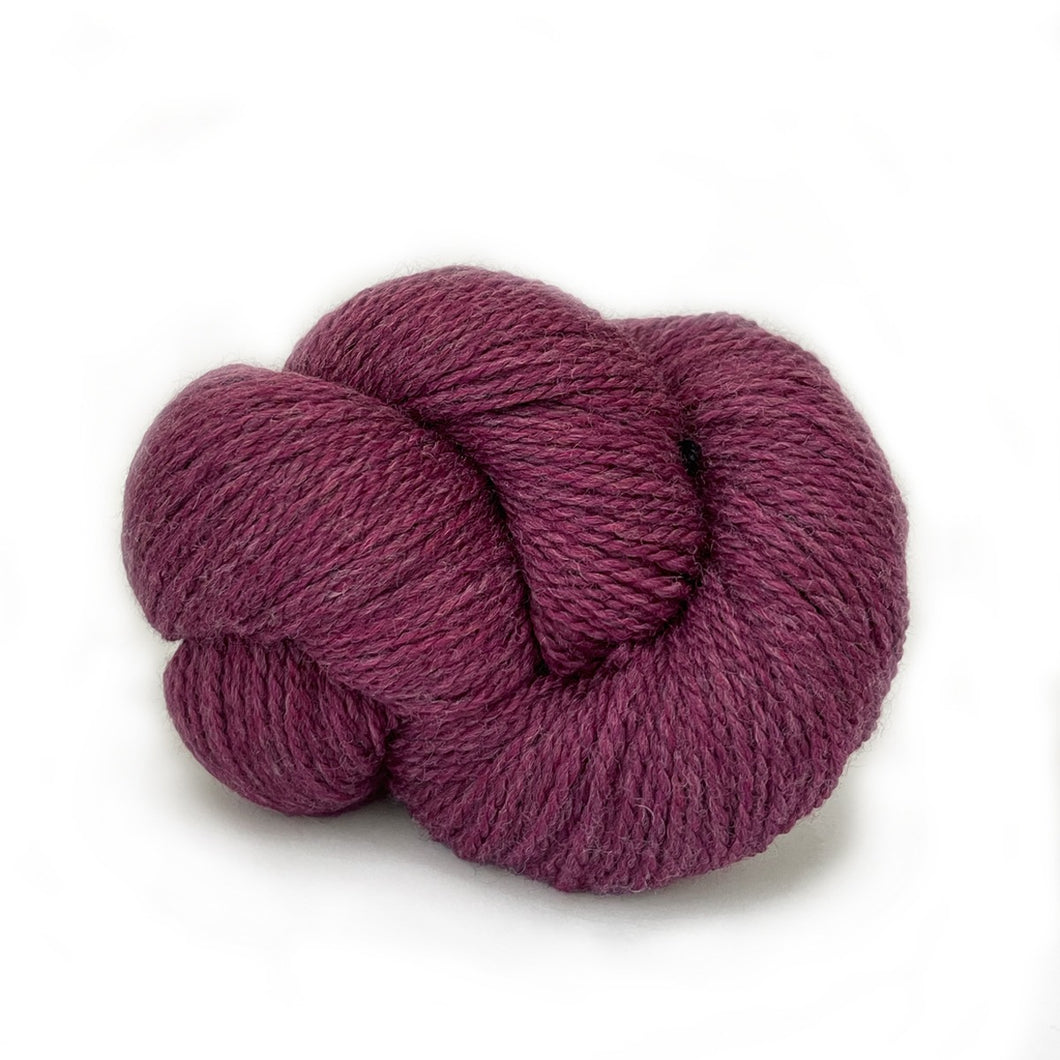 Scout - Rosewood heather